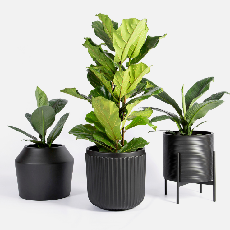 Shadow Floor Planter with Stand - Black