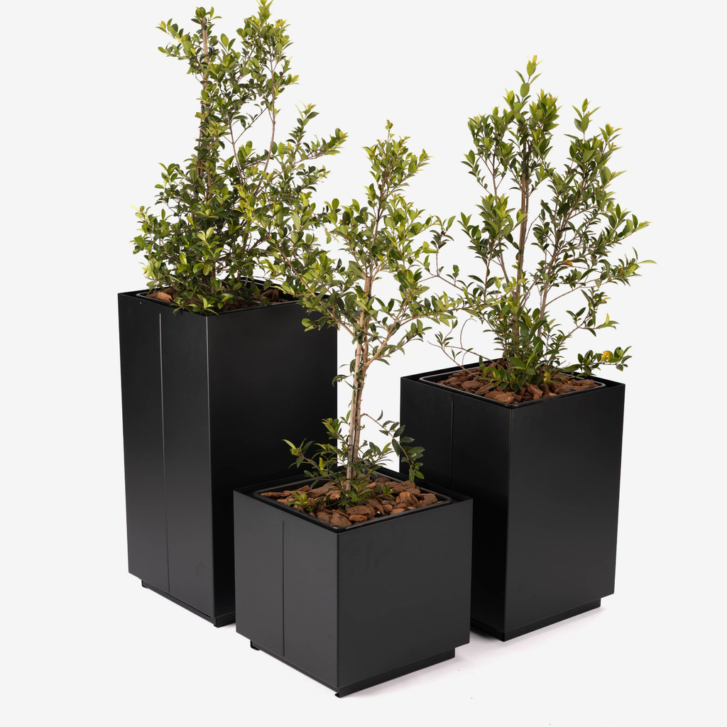 CUBE Planter Combo