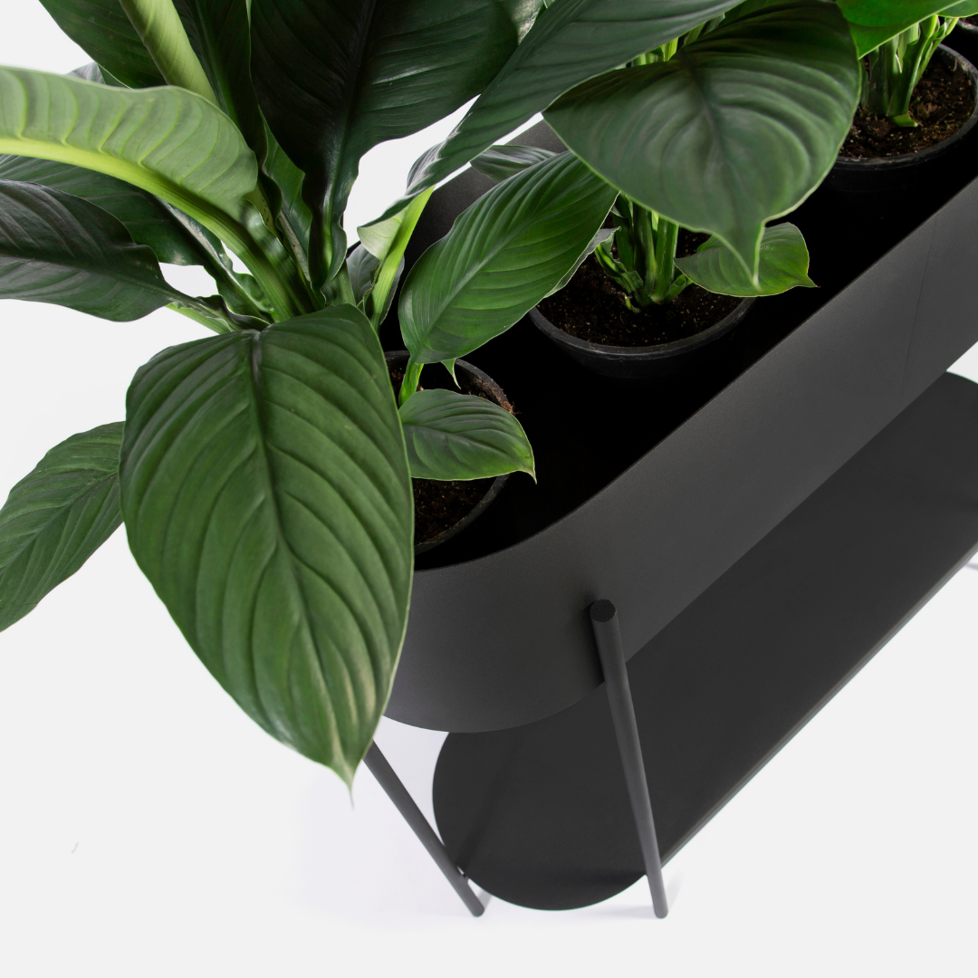 Obsidian Freestanding Planter