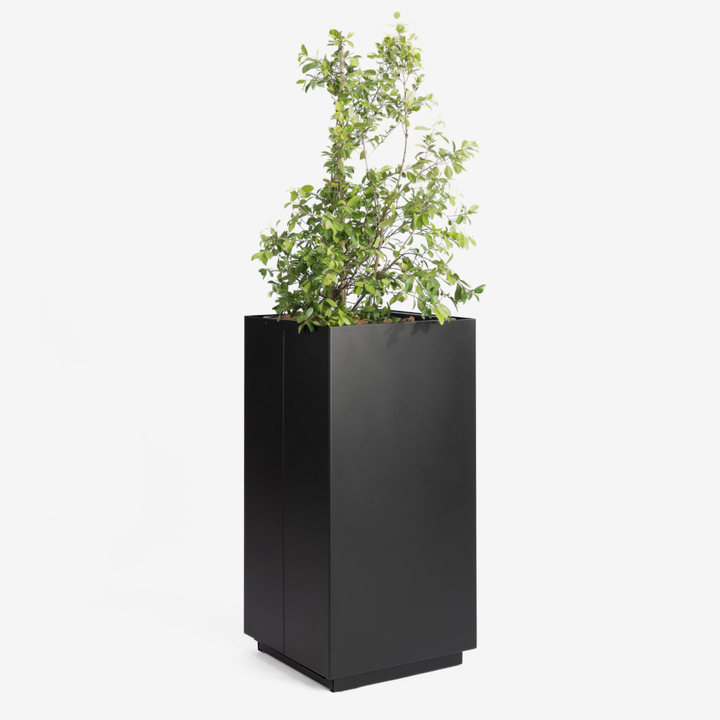 CUBE Planter Combo