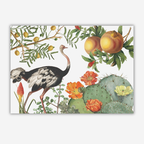 Paper Placemats - Indigenous