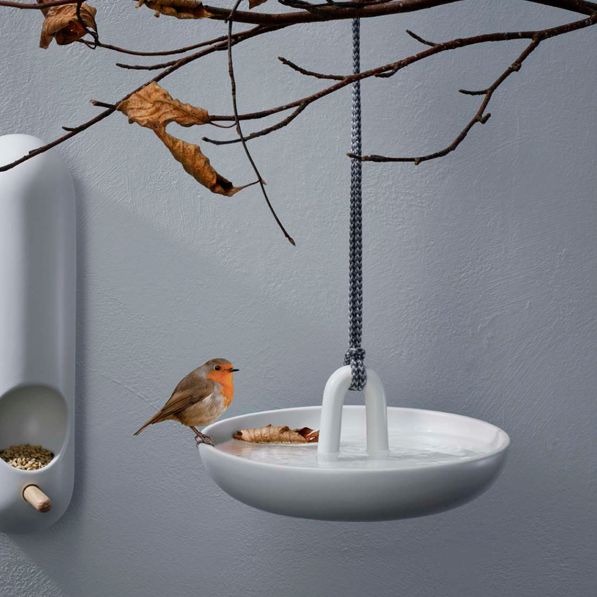 Hanging Bird Bath