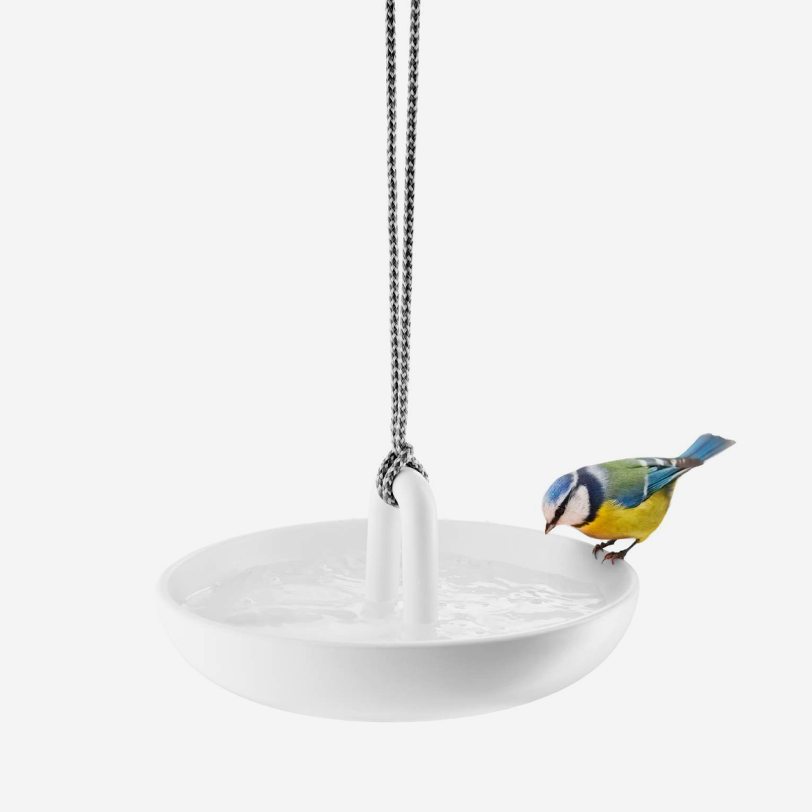 Hanging Bird Bath