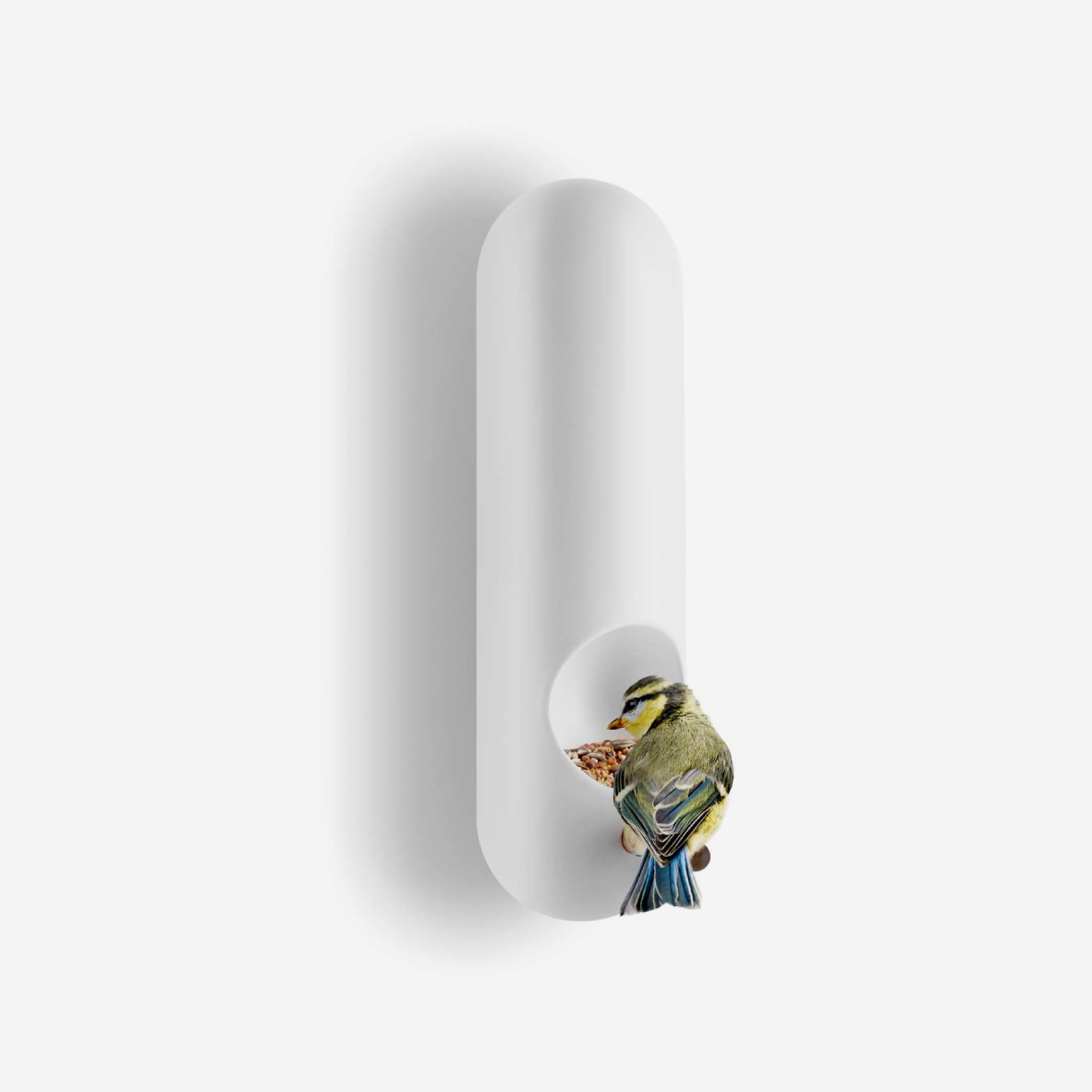 Wall Mounted Bird Feeder Tube