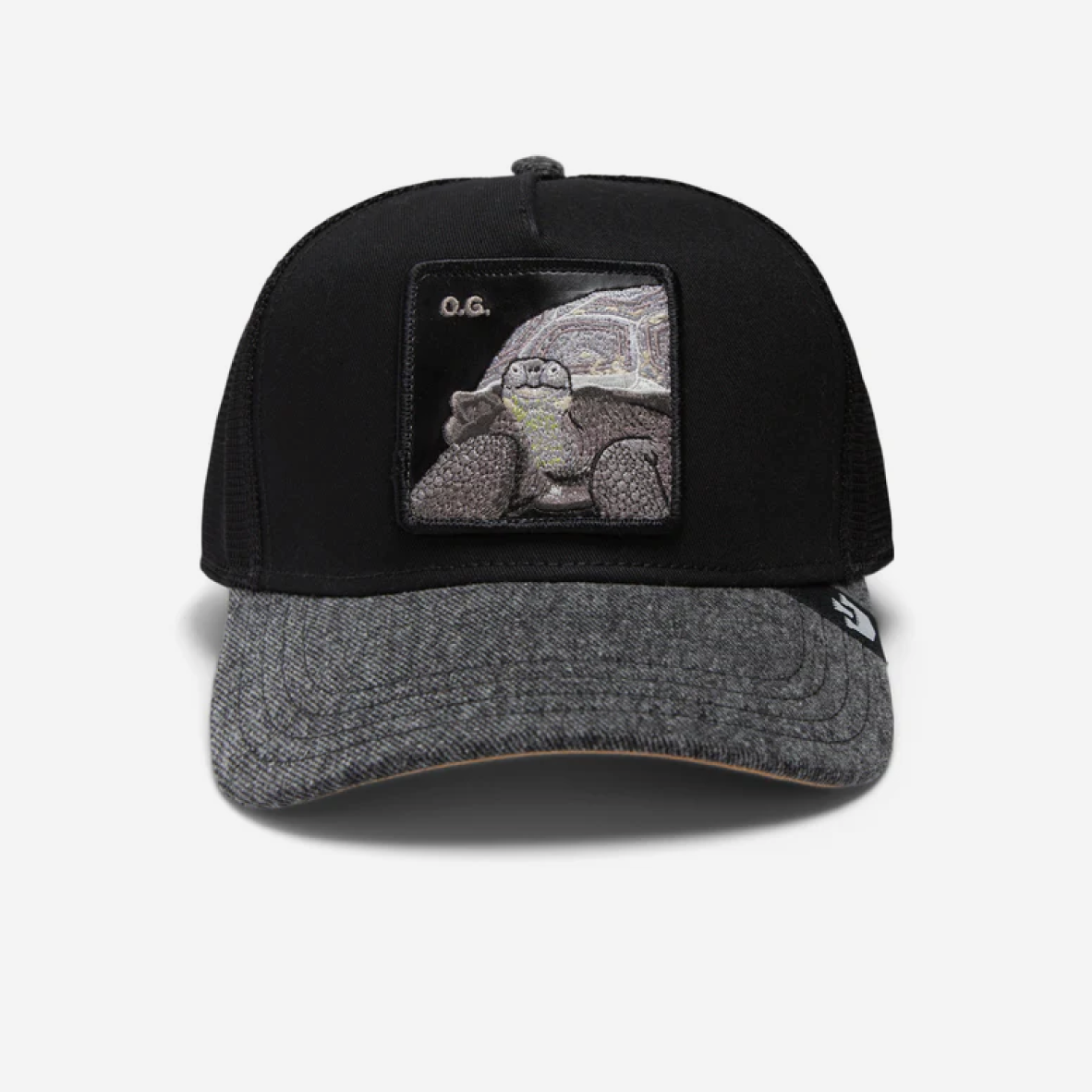 The OG Tortoise - Black