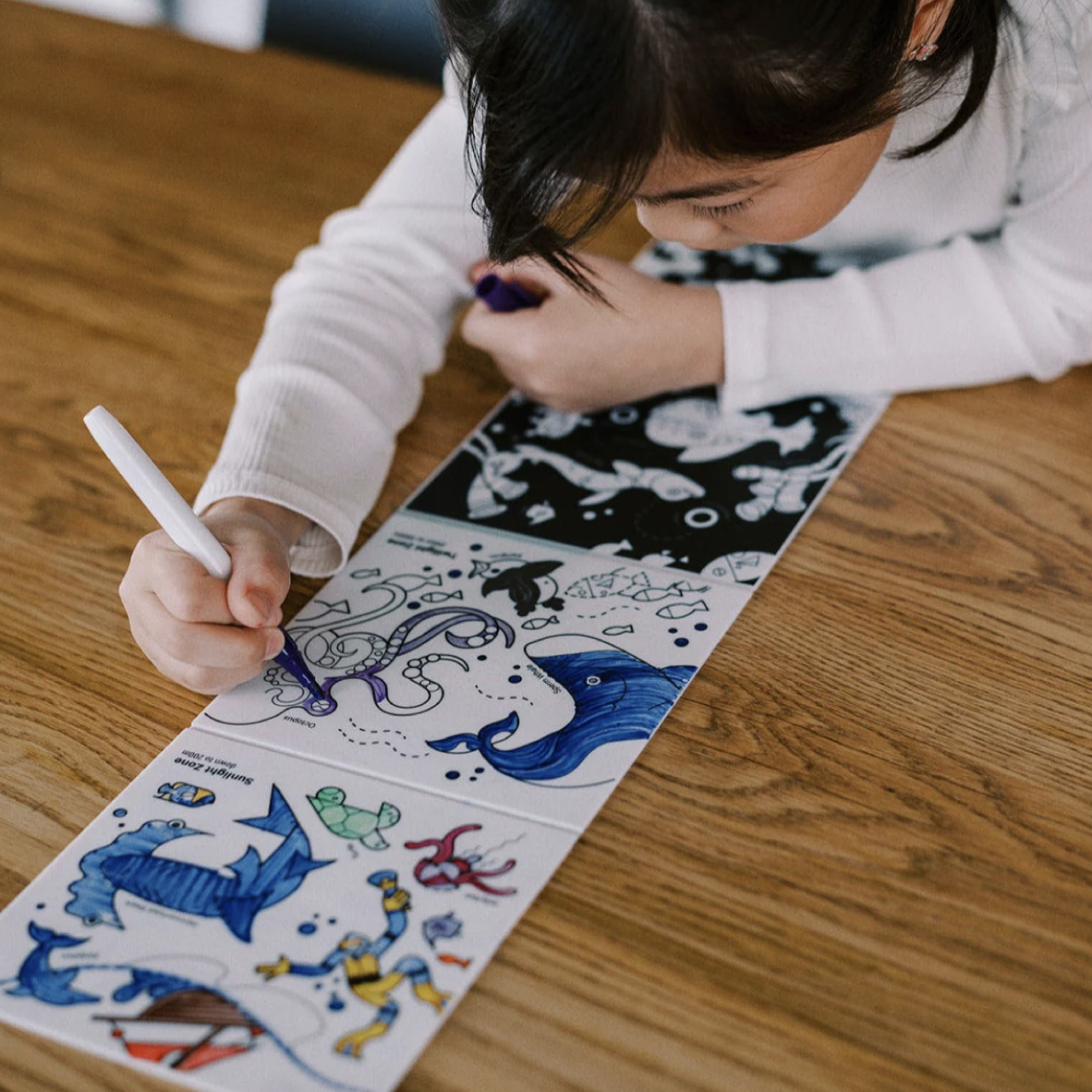 Reusable Colouring Book Tales - Habitats Above & Below