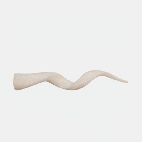 Kudu Horn