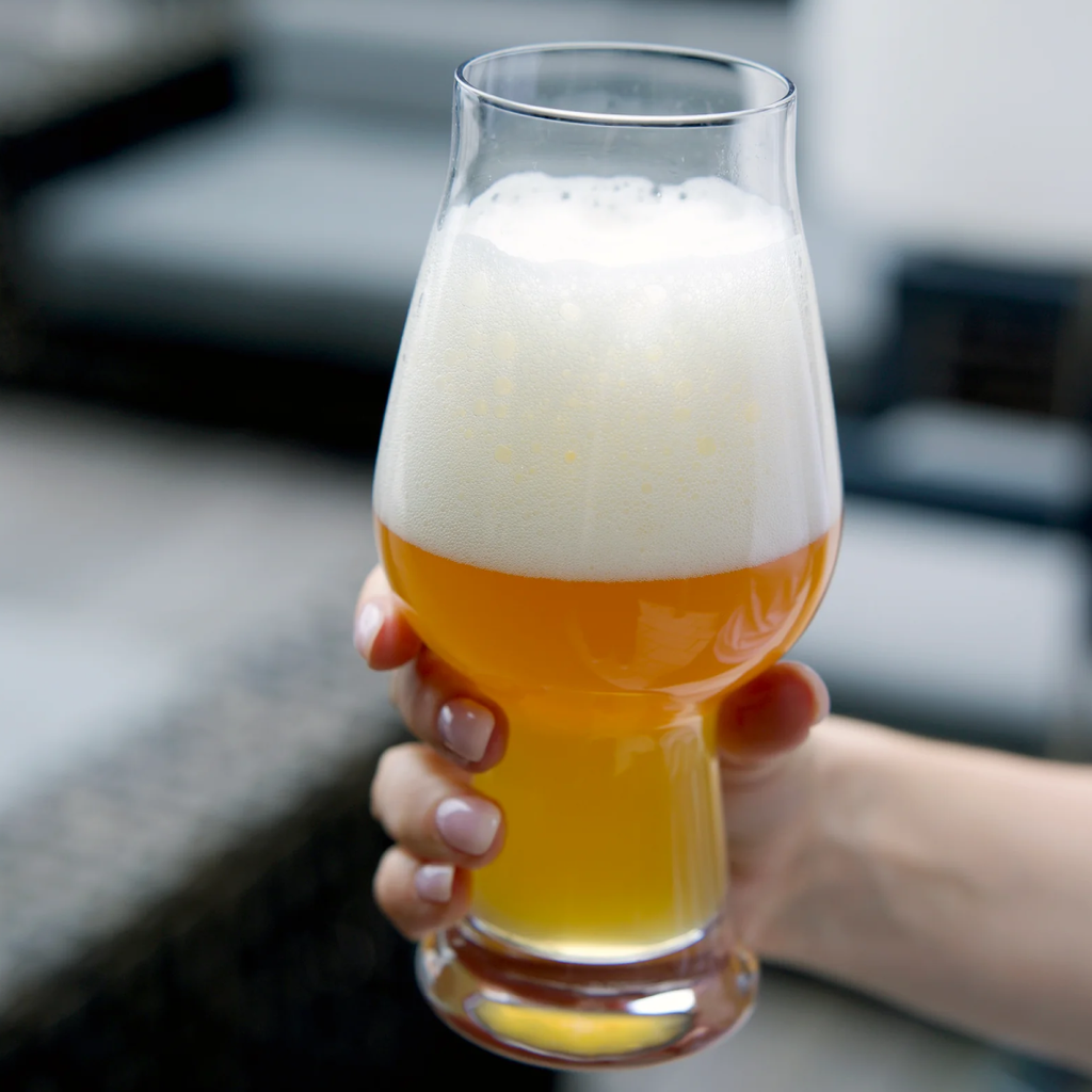 Luigi Bormioli Birrateque IPA Beer Glass Set Of 6