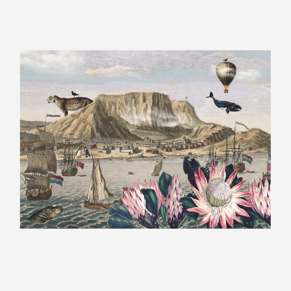 Paper Placemats - Cape Of Good Hope