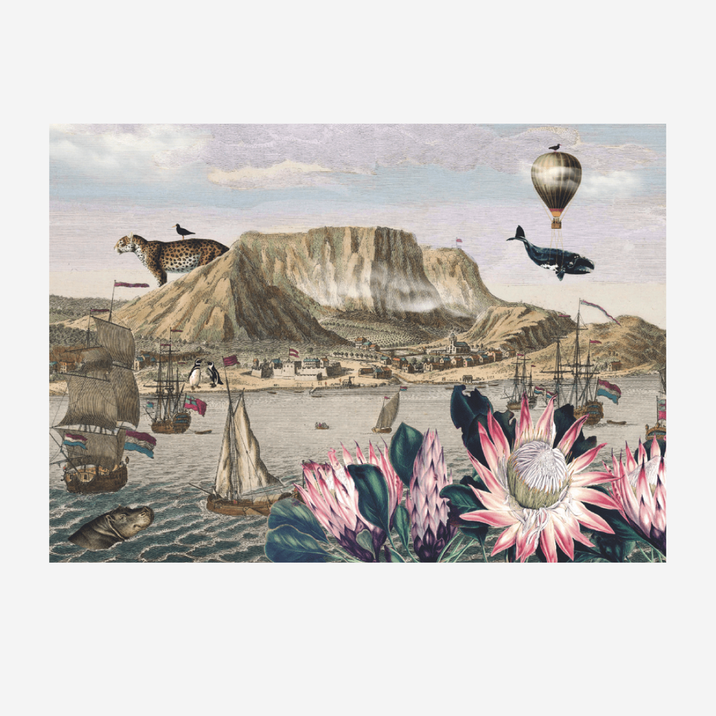 Paper Placemats - Cape Of Good Hope