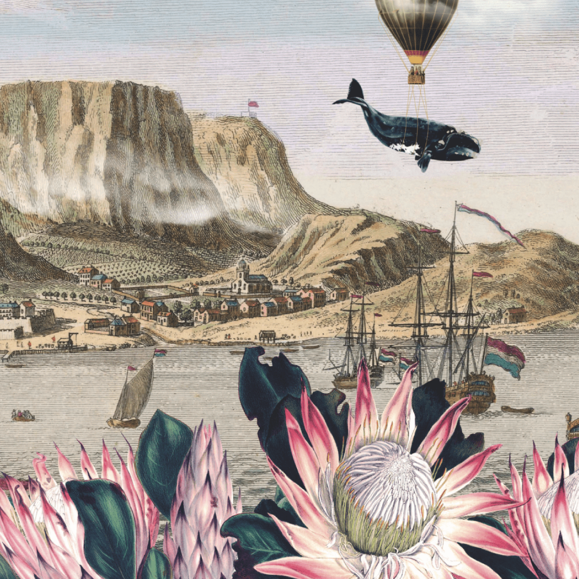 Paper Placemats - Cape Of Good Hope