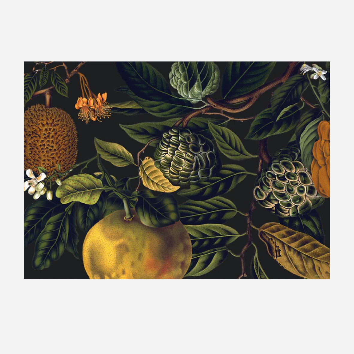 Paper Placemats - Ophulent Orchards