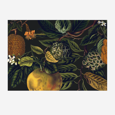 Paper Placemats - Ophulent Orchards
