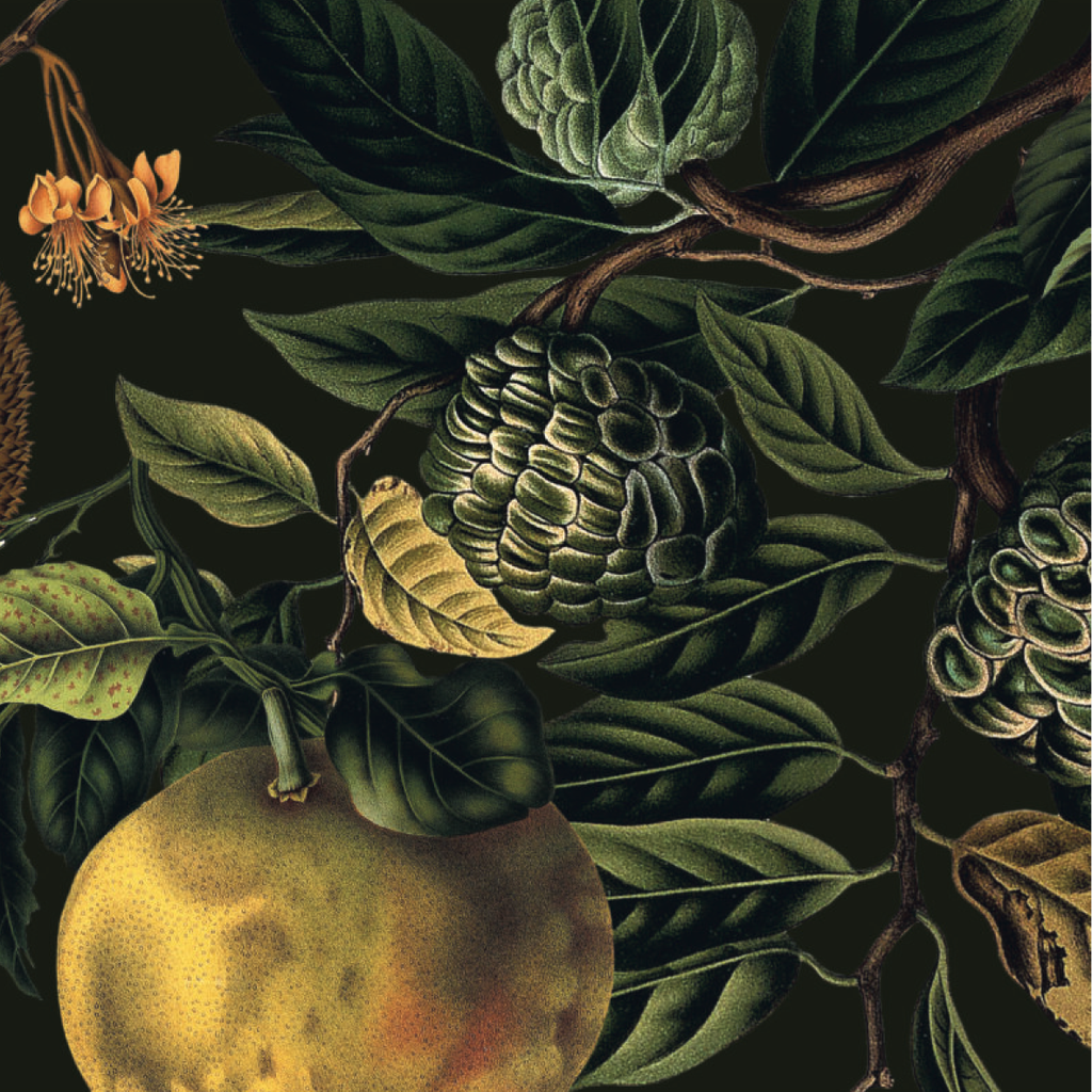 Paper Placemats - Ophulent Orchards