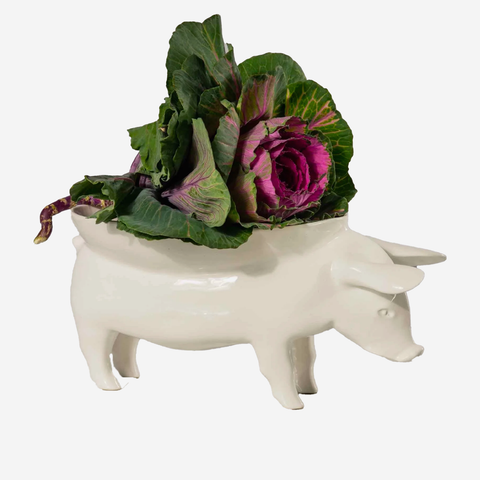 Pig Bowl - White