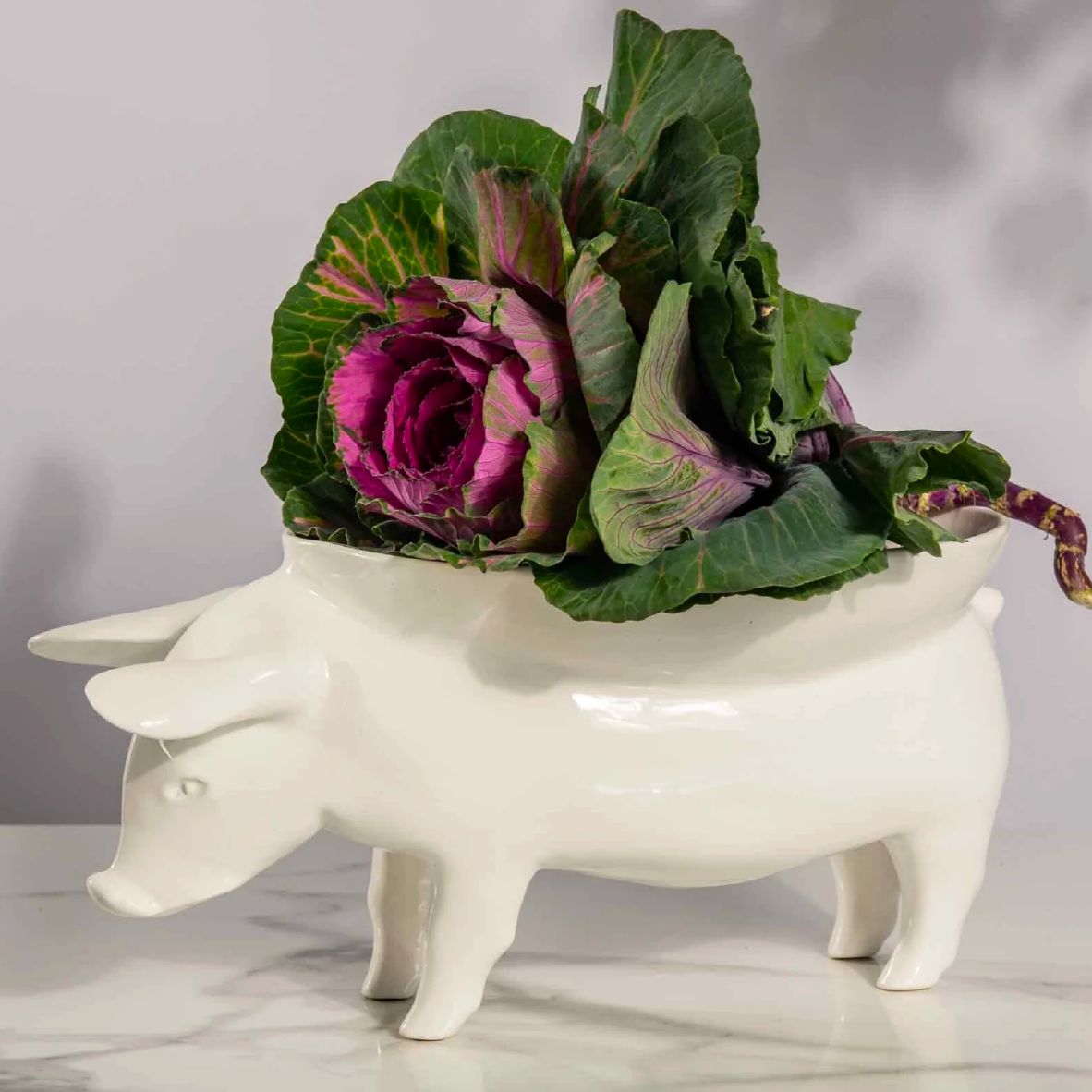 Pig Bowl - White
