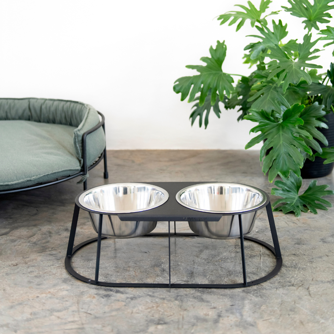 Snooze Dog Sofa + Twin Bowl Combo