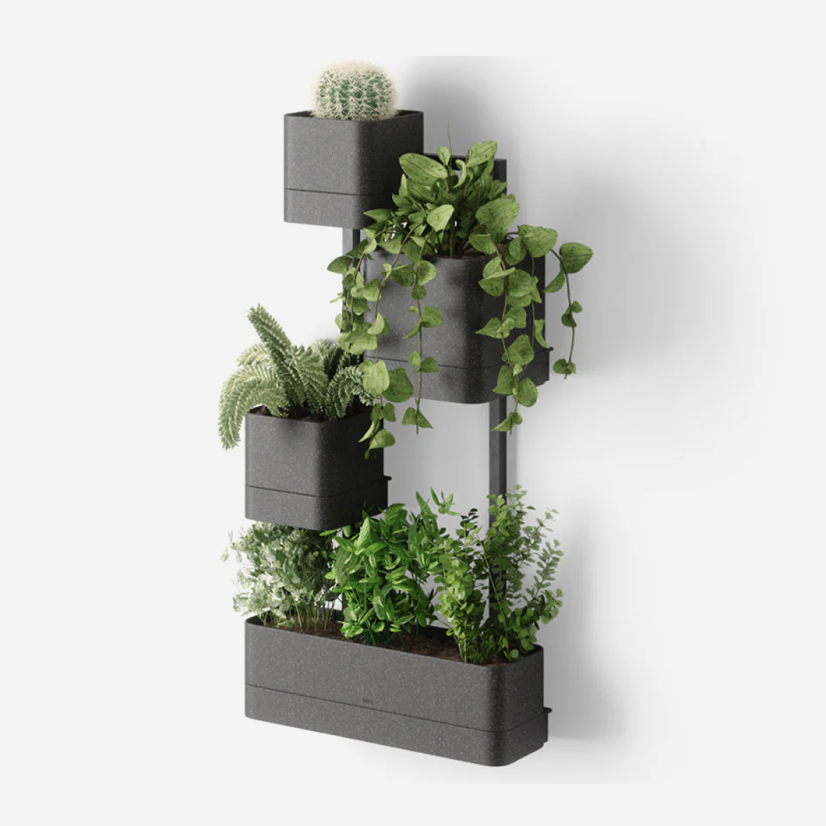 Cubiko Wall Planter - Black