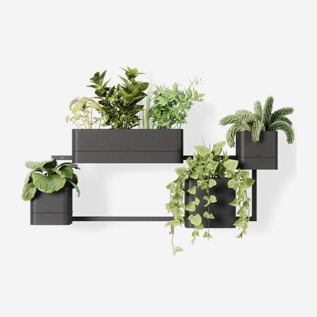 Cubiko Wall Planter - Black