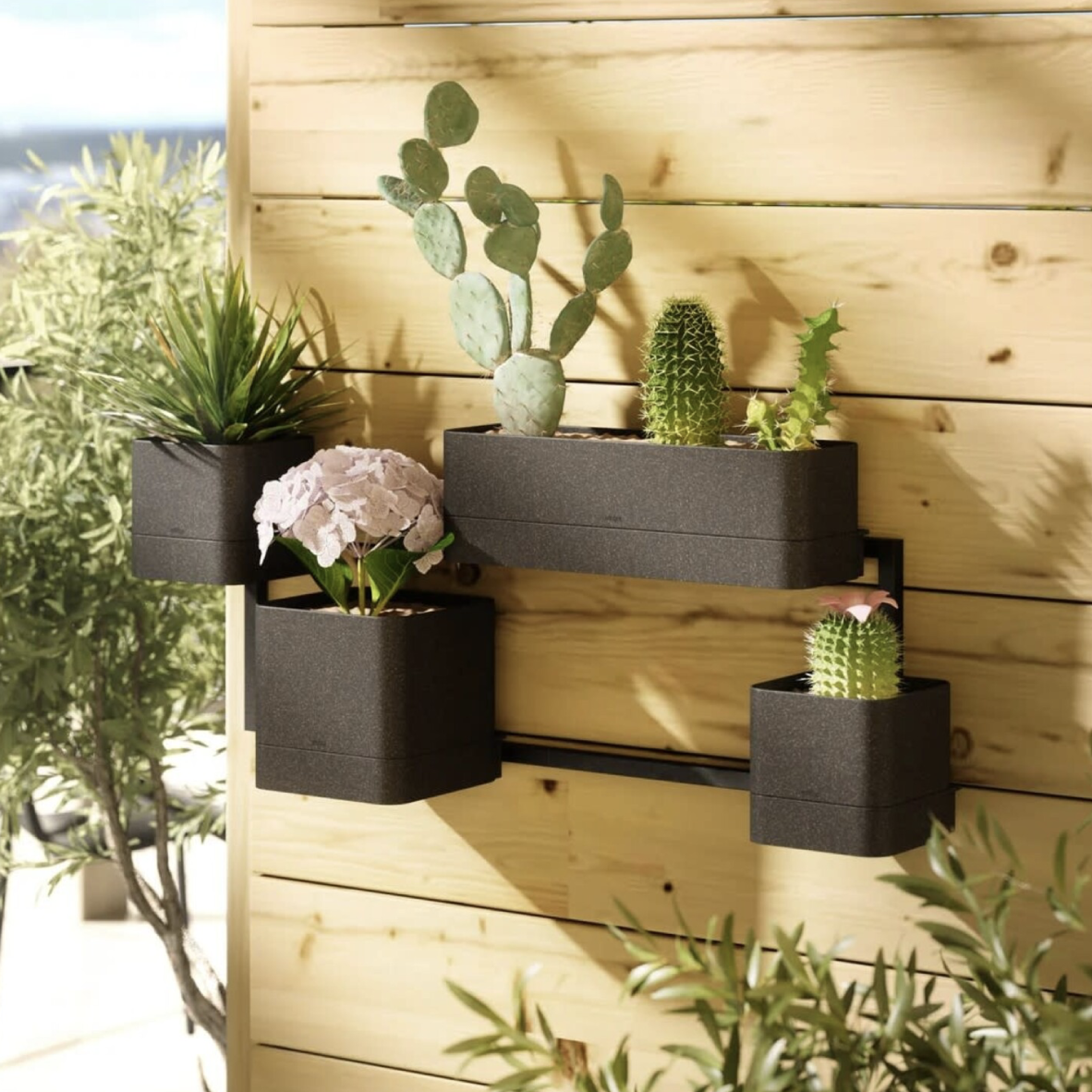 Cubiko Wall Planter - Black