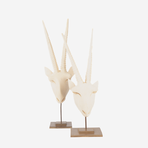 Gemsbok Head - Natural