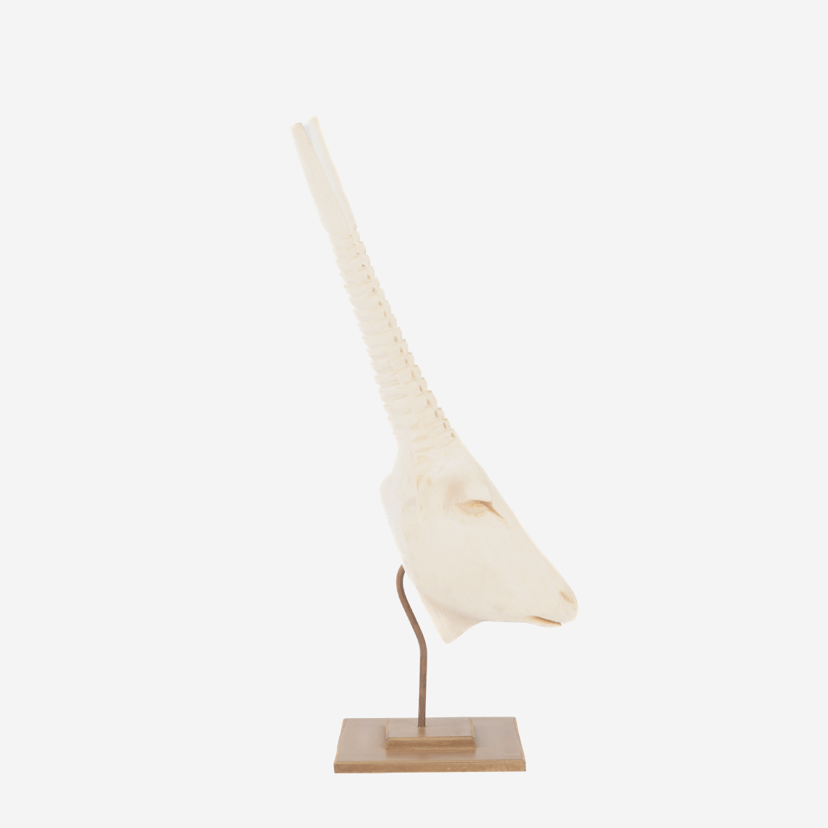 Gemsbok Head - Natural