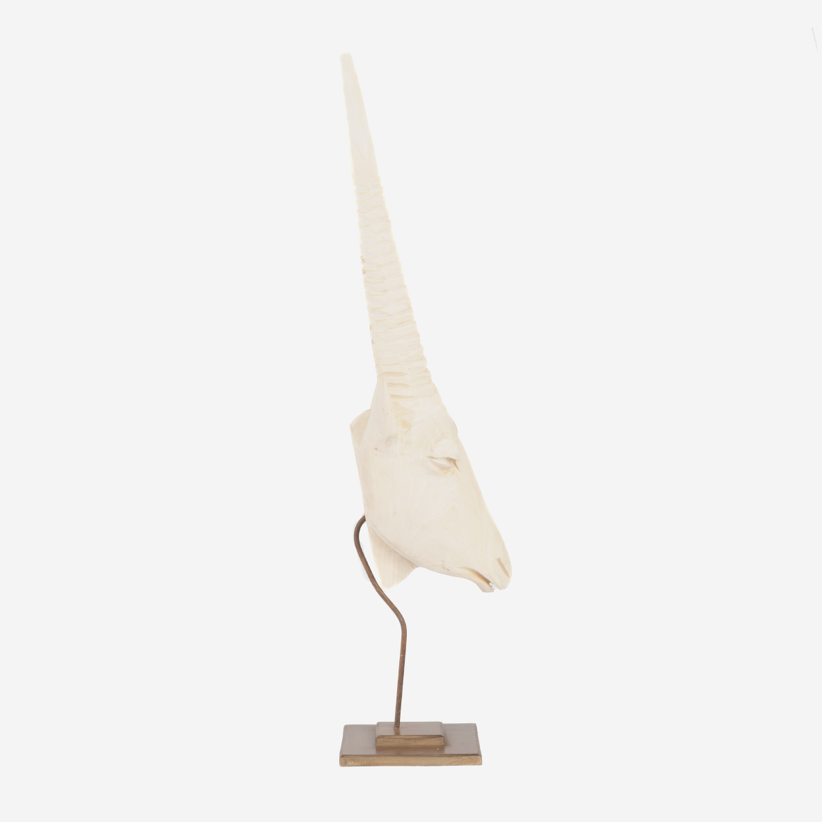 Gemsbok Head - Natural