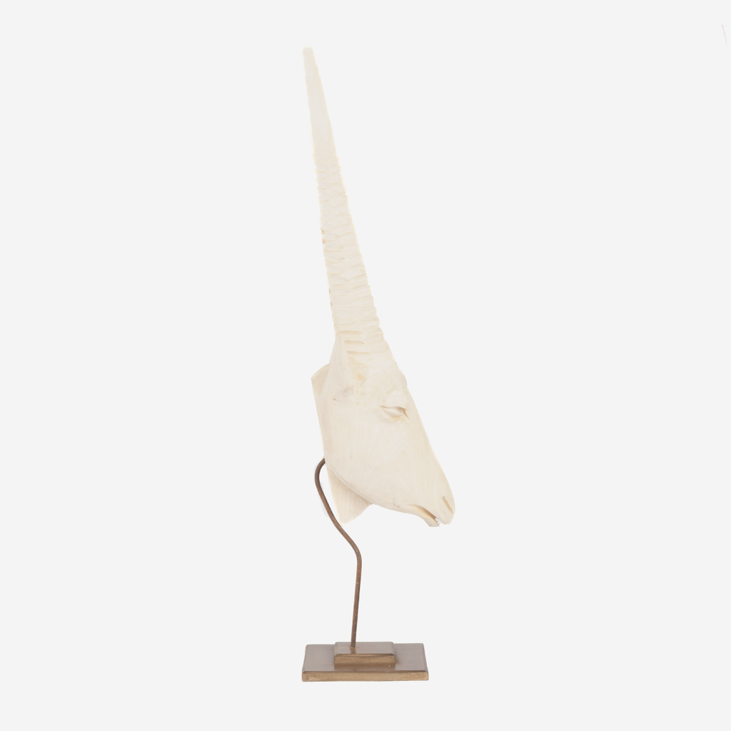 Gemsbok Head - Natural