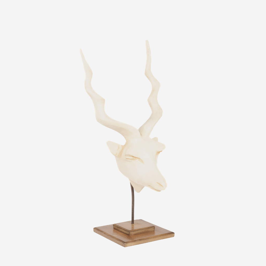 Kudu Head - Natural