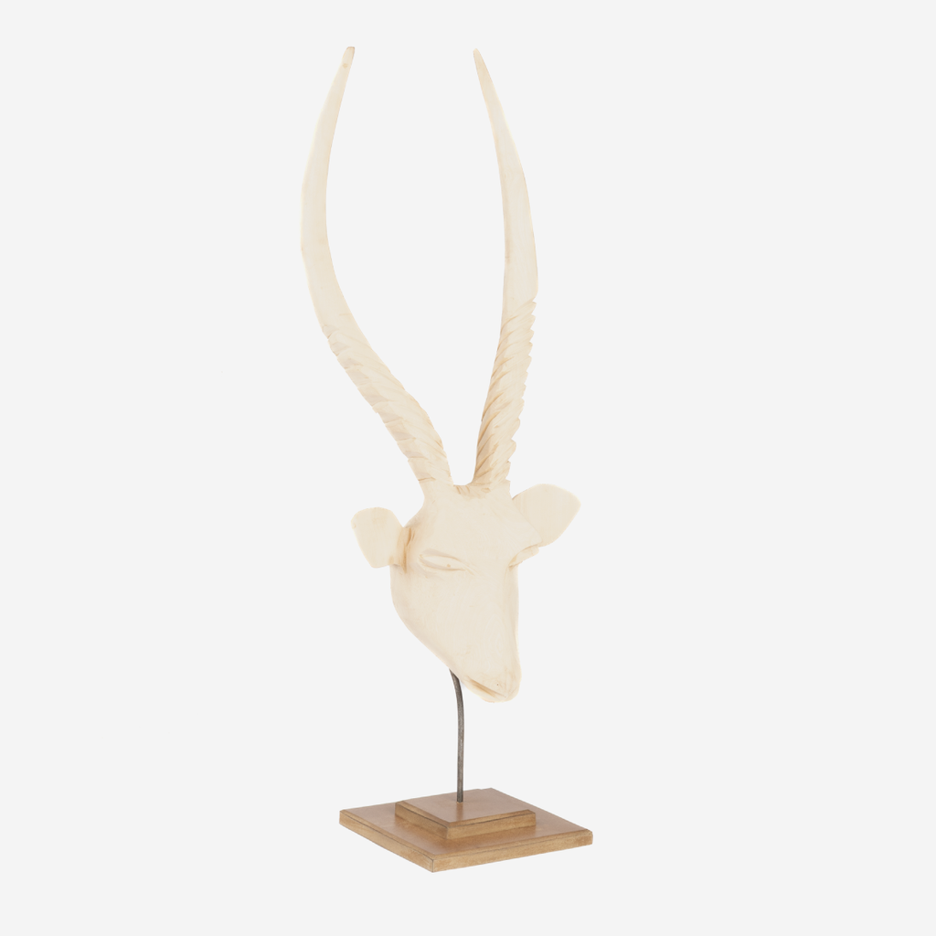 Springbok Head - Natural