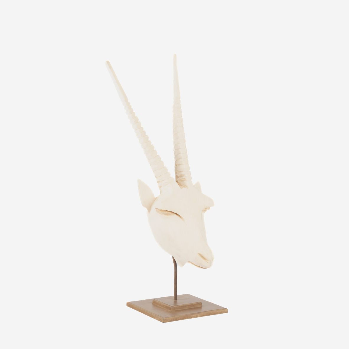 Gemsbok Head - Natural