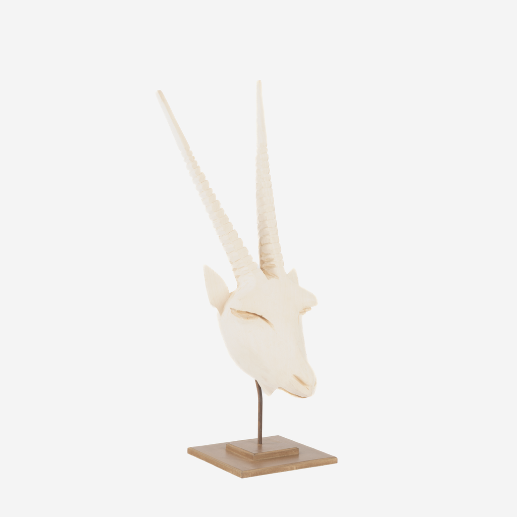 Gemsbok Head - Natural