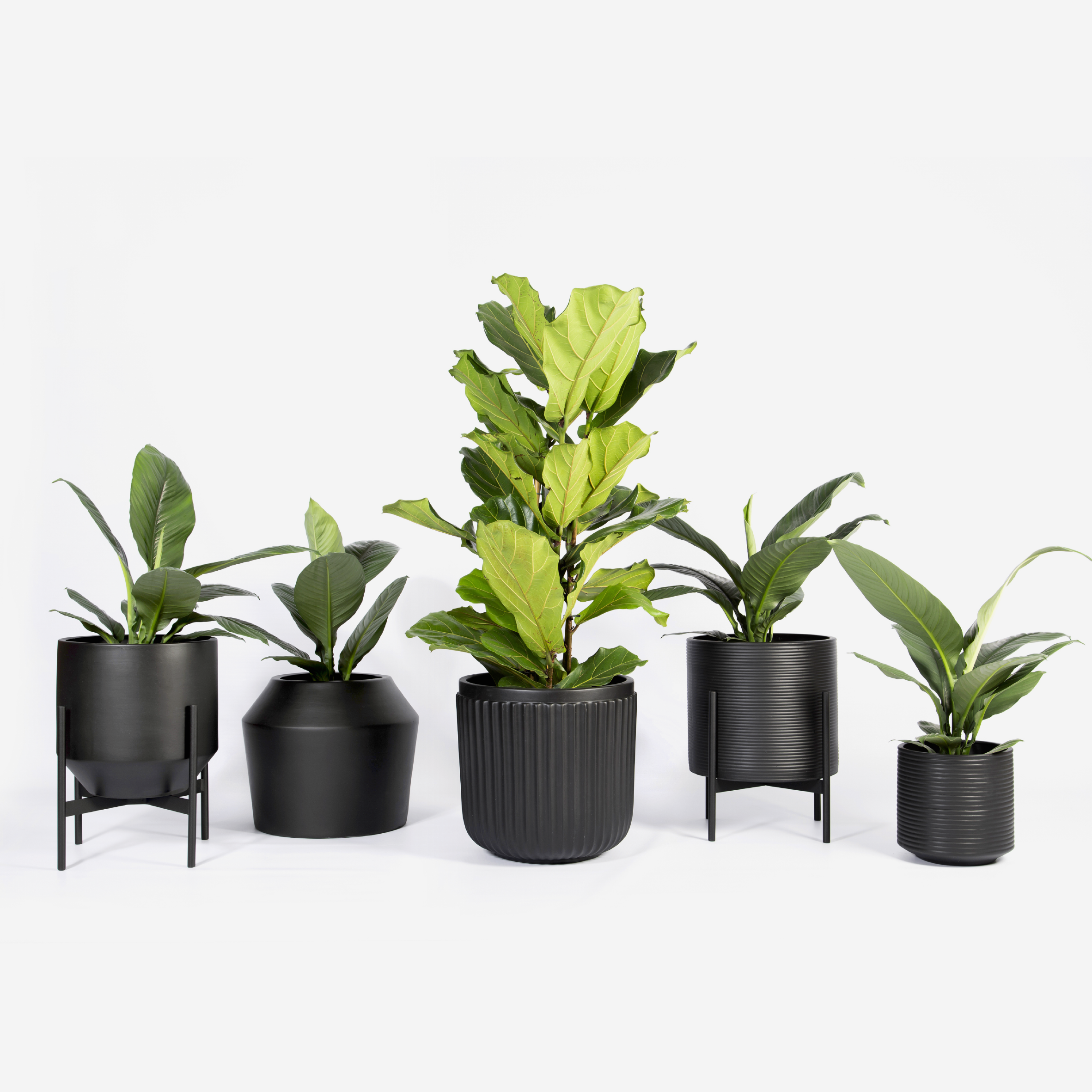 Ark Floor Planter - Large