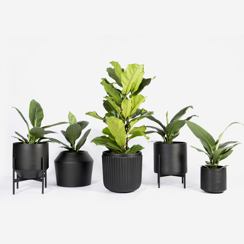Ark Floor Planter - Large