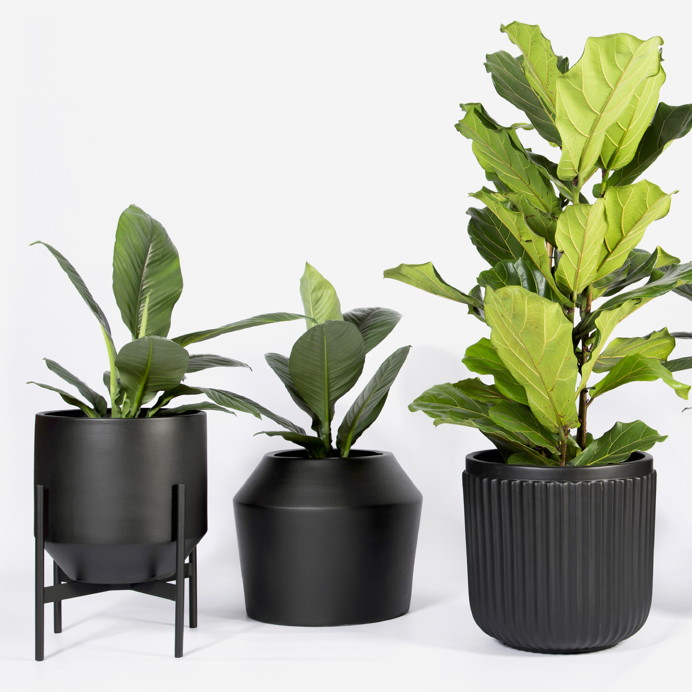 Ark Floor Planter - Large