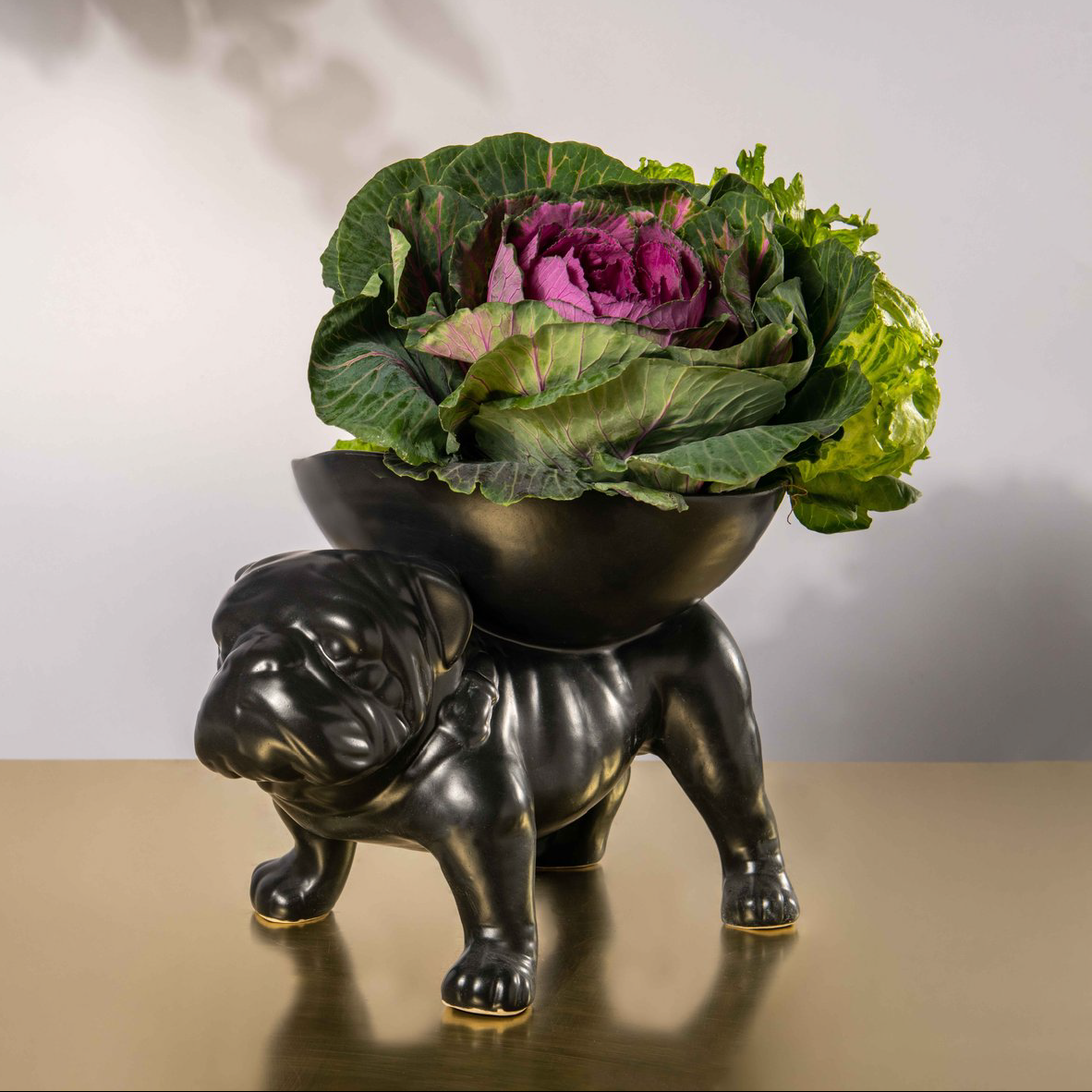 Brutus Bulldog Bowl - Black