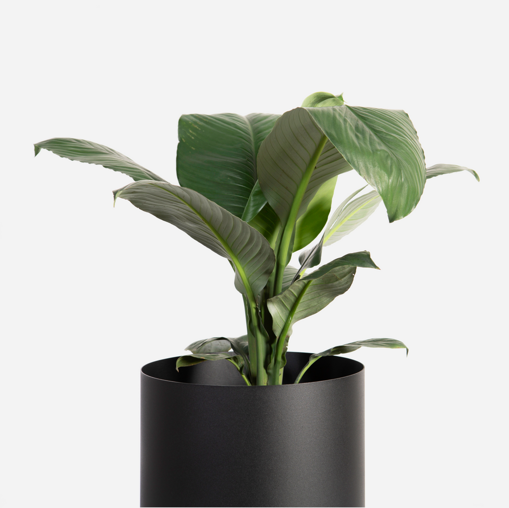 Round Sven Floor Planter - Black