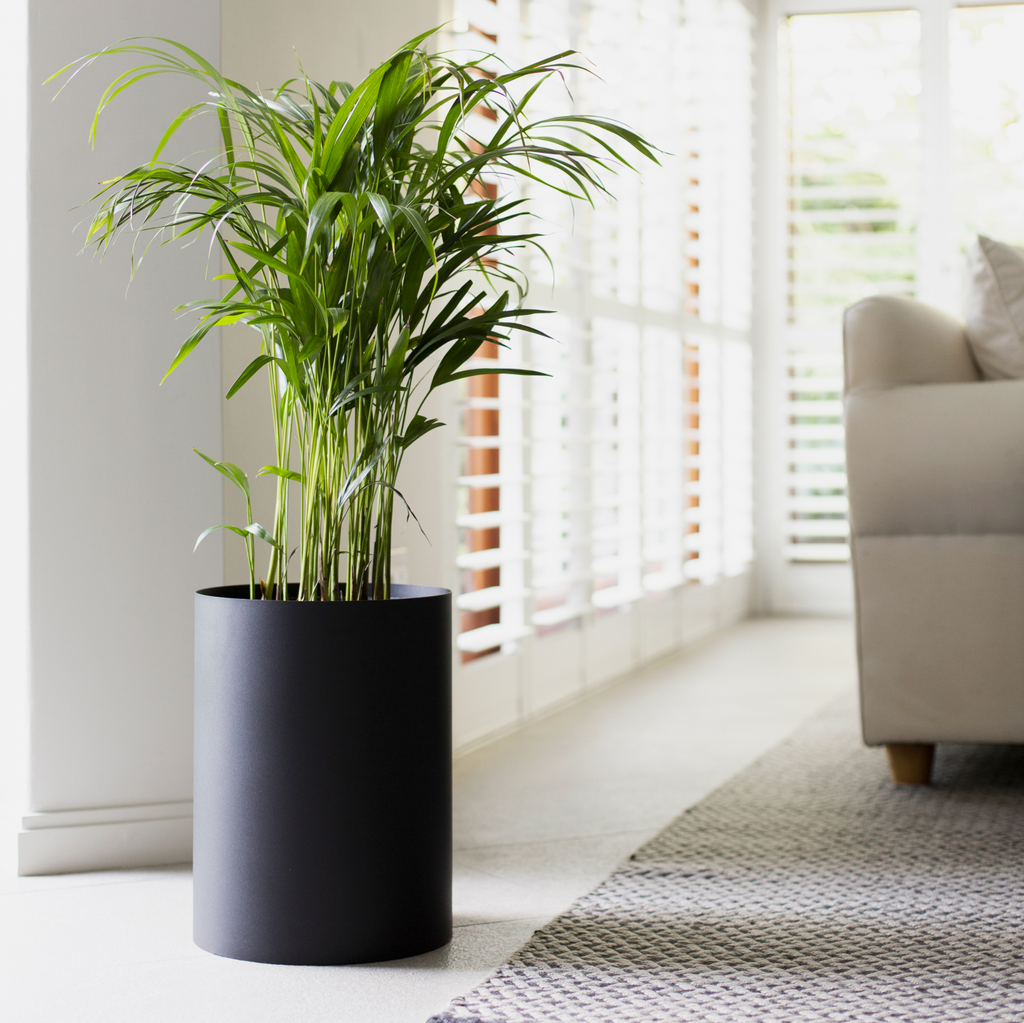 Round Sven Floor Planter - Black