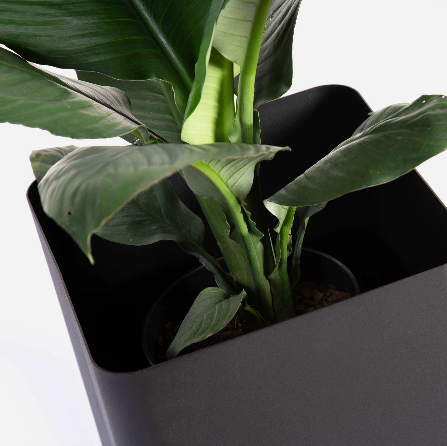 Square Sven Floor Planter