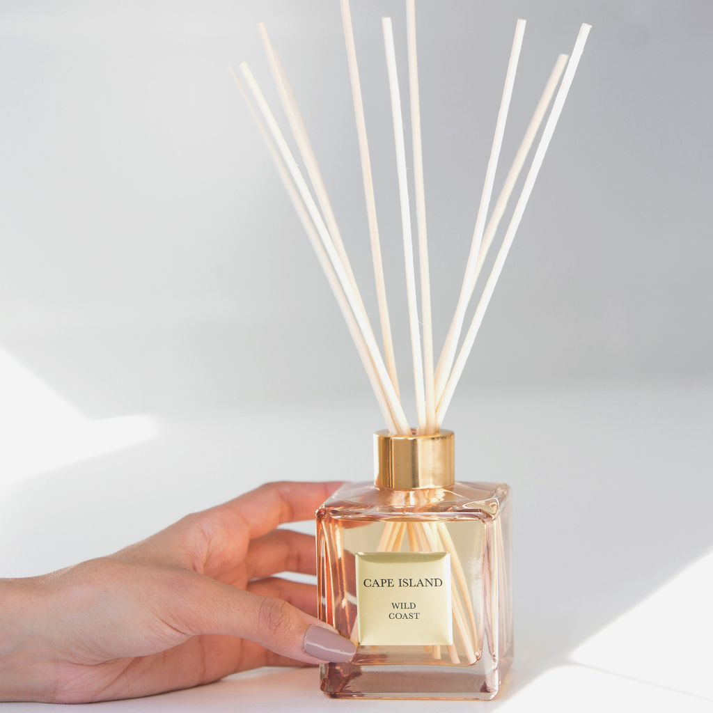 Illustrated Fragrance Diffuser - Wild Coast